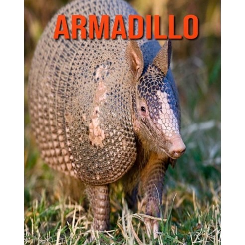 Armadillo: Learn About Armadillo and Enjoy Colorful Pictures Paperback, Independently Published, English, 9798693578401