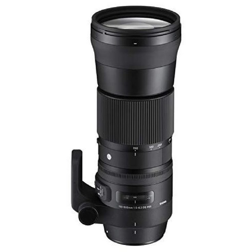 시그마 150-600mm F5-6.3 DG OS HSM 컨템포러리 마운트 풀사이즈/대형, 렌즈 단체, 캐논