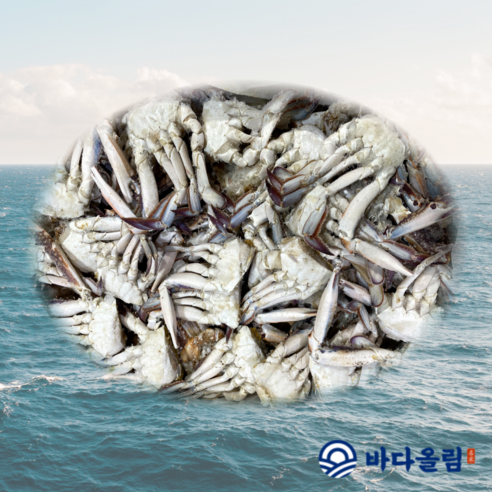 바다올림 연평도 제철 급냉 절단 손질 꽃게 1.5kg 10kg, 1박스