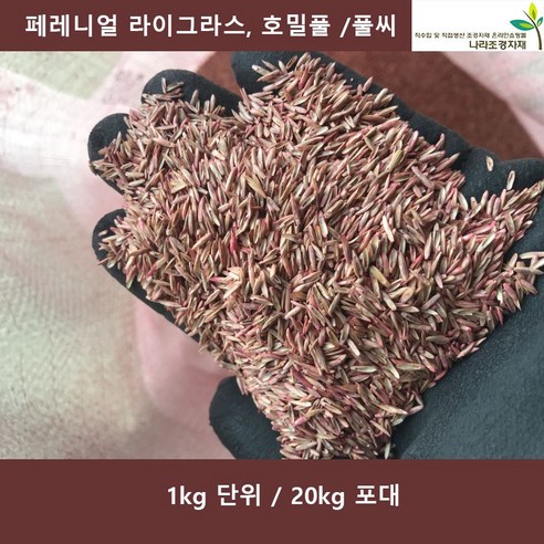 페레니얼라이그라스 1kg 20kg 터프타입 호밀풀 양잔디풀씨 풀씨, 1개