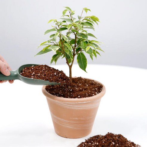 데팡스 분갈이용토로 식물 성장의 마법을 불어넣으세요.