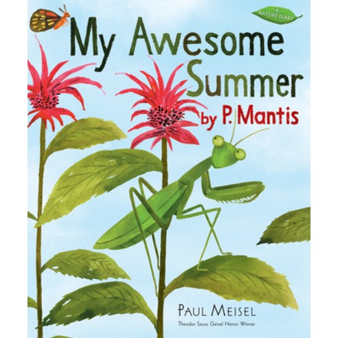 My Awesome Summer by P. Mantis Hardcover, Holiday House, English, 9780823436712