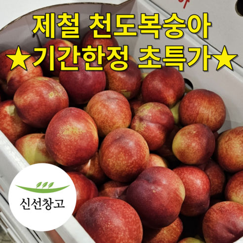 [당일경매 최상품] 경북 천도 복숭아 5kg 시기별 최적 품종 천도복숭아, 1박스
