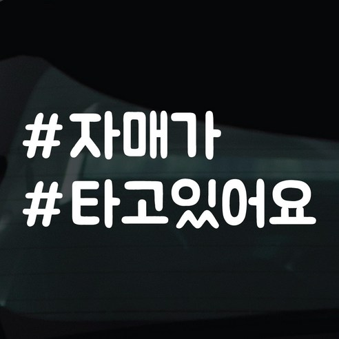 디자인황소 해시태그 스티커 차량스티커 차량 자동차 시트지 데칼, 1개, 23 자매가타고있어요