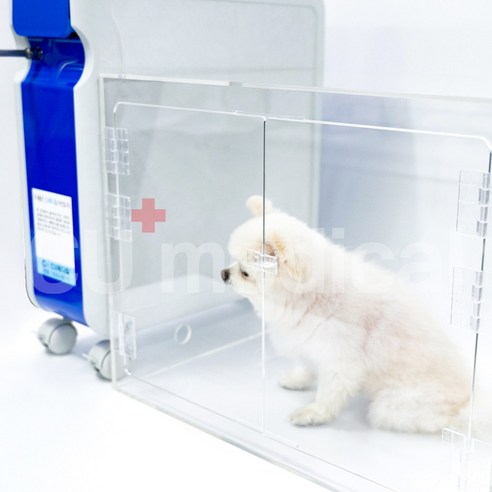 댕댕이의 편안한 숨, 산소발생기 렌탈로 되찾아주세요.