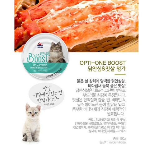 고양이를 위한 영양가 있고 맛있는 간식