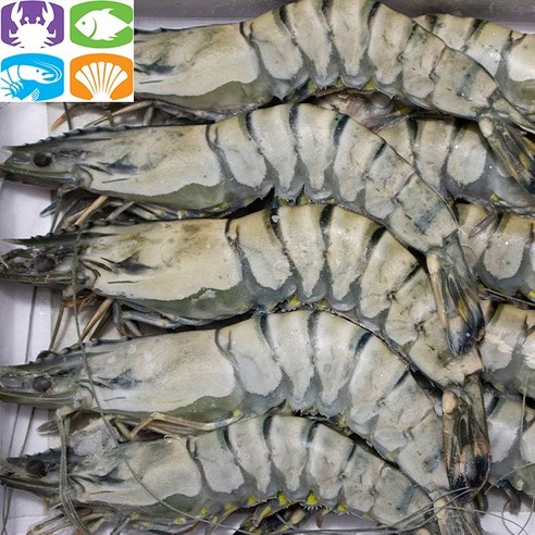더푸름 블랙타이거새우: 신선한 해산물의 절묘한 맛