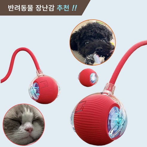 제이셀르 자동으로 움직이는 반려동물 장난감 강아지 자동 공놀이 장난감, 레드, 1개