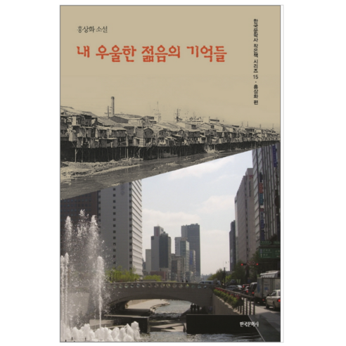 내 우울한 젊음의 기억들 - 소설