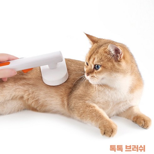 SOONTAN 톡톡 강아지 고양이 죽은털 제거 원터치 브러쉬, 1개, 주황