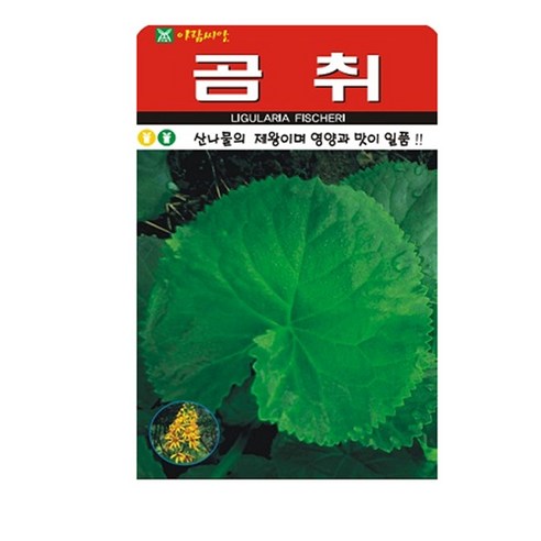 곰취 씨앗 100립, 1개
