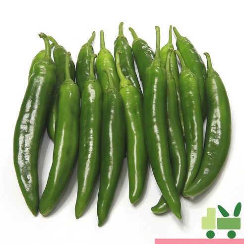 사라상회 오이고추 10Kg (특), 1개