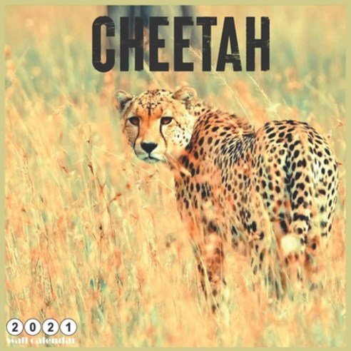 Cheetah 2021 Wall Calendar: Official Big Cats Calendar 2021 18 Months Paperback, Independently Published