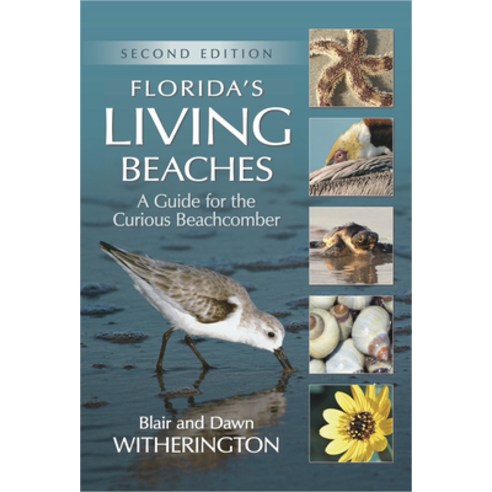 (영문도서) Florida''s Living Beaches: A Guide for the Curious Beachcomber Paperback, Pineapple Press, English, 9781561649815