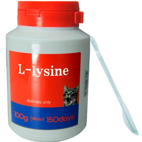 반려동물 영양 파우더 100g 엘라이신 l-lysyne, 면역/항산화, 1개