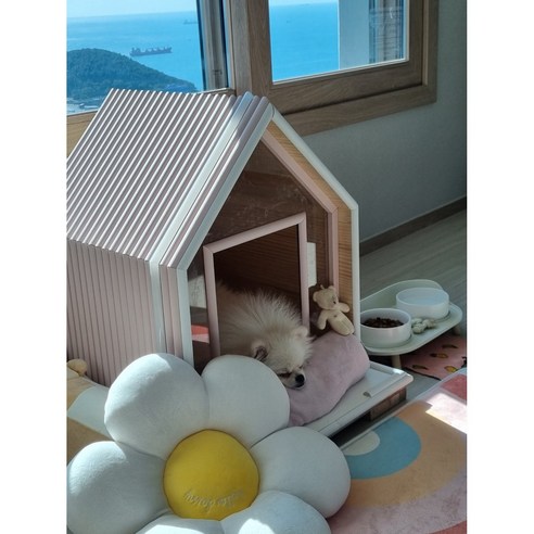 자체제작 원목 항균 애견 하우스 소형 중형 사계절 프리미엄 강아지집 고양이집