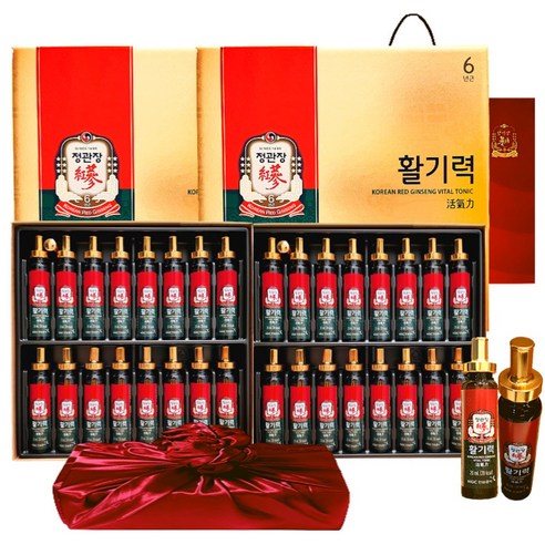 정관장 6년근 홍삼정 활기력 32세트(홍삼농축액 비타민 함량) 640g 가정의달 추석 명절 부모님 여행 선물세트 1개, 640ml, 1세트