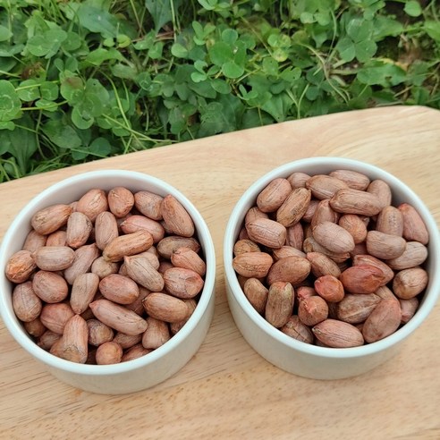 고소한 추억을 담은 상주 햇땅콩, 자연이 선사한 최고의 선물