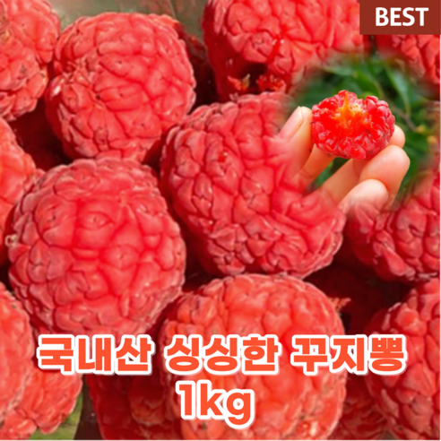 국내산 국산 구찌뽕 꾸지뽕 1KG 몸에 좋은 구찌뽕 열매 생 구찌뽕 생과 산 딸기 잎 효능 건강 제철 음식, 1개