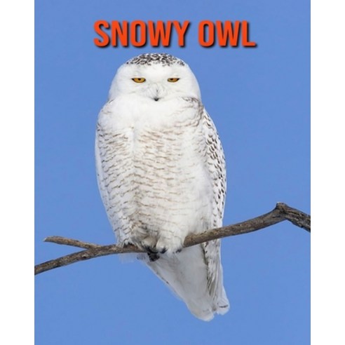 Snowy Owl: Fun Facts & Cool Pictures Paperback, Independently Published, English, 9798563292192