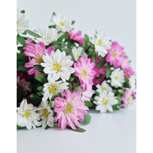 [오케이나우ㅣ강추] 꽃의 아름다움이 집까지 찾아오는 플로라블룸 과꽃 꽃배달 서비스 [OKNOWㅣ추천상품]