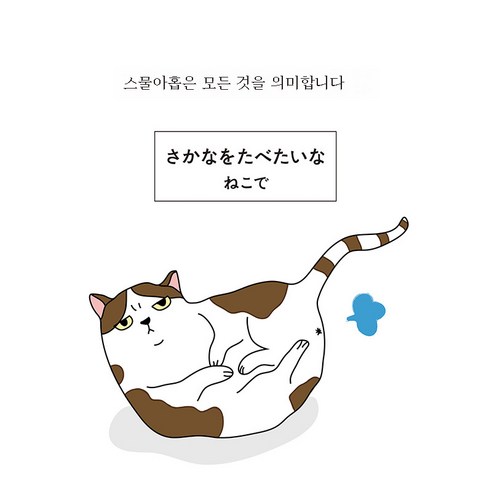 DFMEI 캐릭터 큐티 커튼 방진 덧신 벨크로 신발장 옷장 잿빛 커튼 부착발 셀프스티칭 면제, DFMEI 스타일 25., 넓은 40 * 높은 60cm