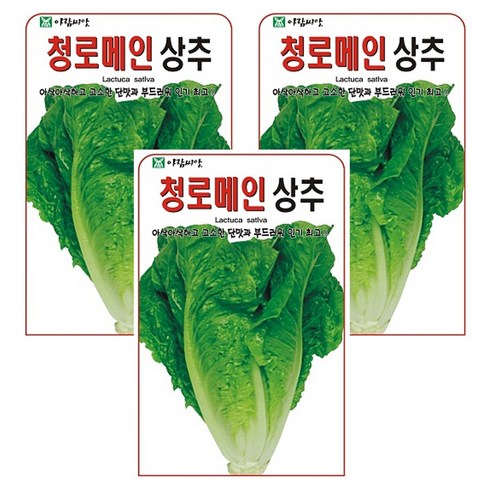 청 로메인 상추 씨앗 상추씨, 3개