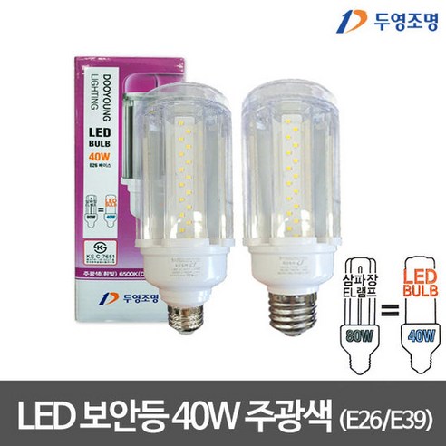 두영 LED 투명 보안등 40W 주광색 LED보안등, 1개