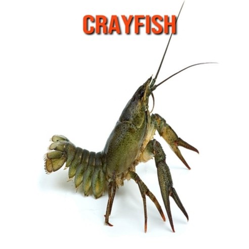 Crayfish: Amazing Facts about Crayfish Paperback, Independently Published, English, 9798695341447