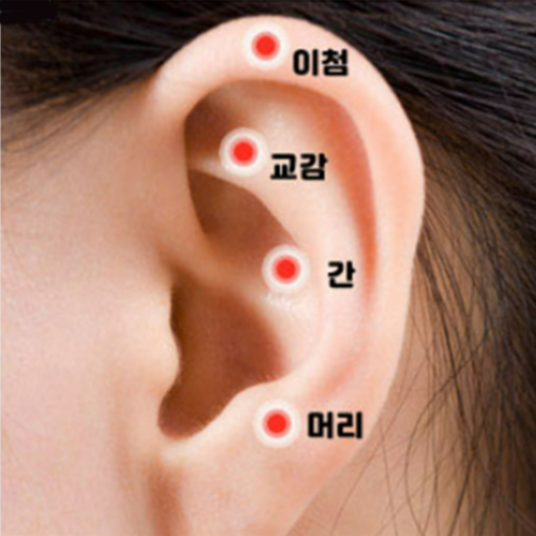 귀에 붙이는 건강, 예즈와 이혈침으로 간편하게!