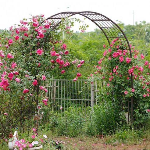 호르투스가든 정원 아치로 당신의 정원을 예술 작품으로 승화시키세요.