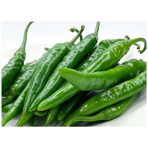 야채왕 아삭이고추 오이고추 200g, 1개
