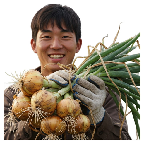 더좋은 무안 양파