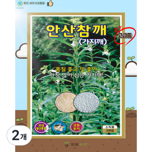 안산 참깨씨앗 (3천립) 참깨 고급종 영웅씨앗, 2개