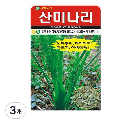 산미나리 씨앗 400립, 3개