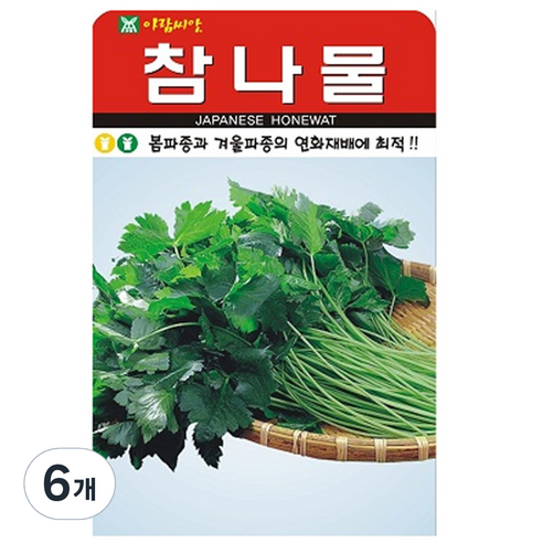 참나물 씨앗 씨 종자, 6개