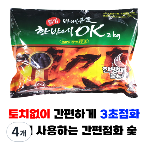 한방에OK 간편점화 착화숯 캠핑 숯불 바베큐 구이용 번개탄 대용, 2kg, 4개