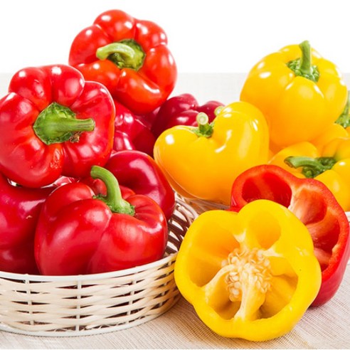 [이베따] 신선한 국내산 파프리카 1.5kg 3kg 5kg, 1개