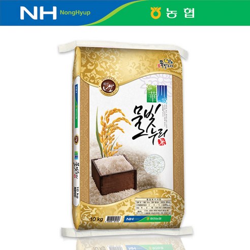 물빛누리 삼광쌀 4kg 10kg 20kg 화천농협 삼광벼 단일품종 2022년산 당일도정, 1개