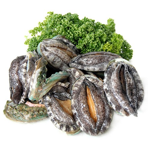 하늘뜰 완도 참 전복 꼬마전복, 없음, 완도 참 전복 500g(9-11미), 1개