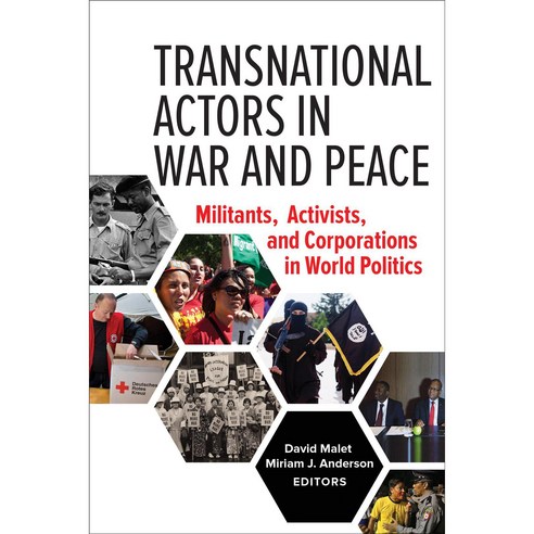 Transnational Actors in War and Peace: Militants Activists and Corporations in World Politics Paperback, Georgetown University Press
