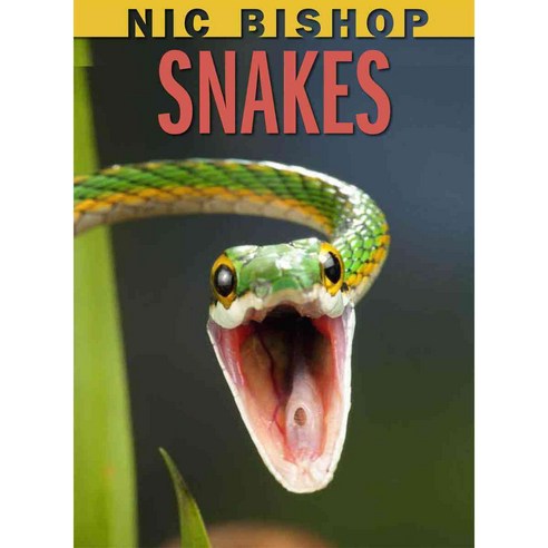 Snakes Hardcover, Scholastic