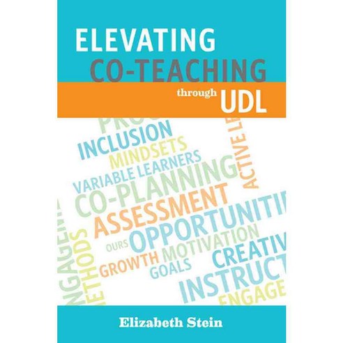 Elevating Co-Teaching Through UDL, Cast Professional Pub