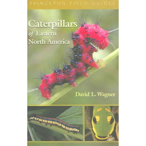 Caterpillars Of Eastern North America: A Guide To Identification And Natural History, Princeton Univ Pr