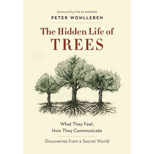 The Hidden Life of Trees:What They Feel How They Communicate--Discoveries from a Secret World, Greystone Books