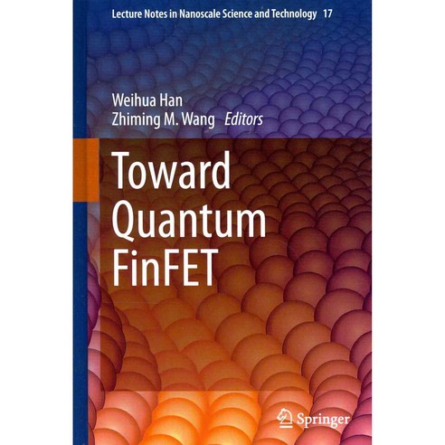 Toward Quantum FinfET, Springer Verlag