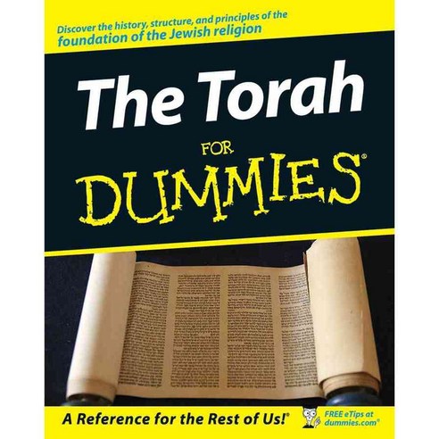 The Torah for Dummies