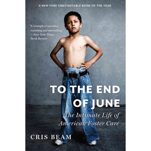 To the End of June: The Intimate Life of American Foster Care, Mariner Books