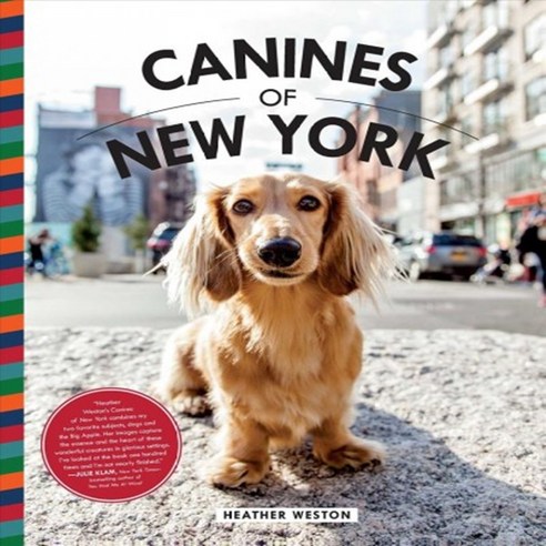 Canines of New York Hardcover, Bluestreak