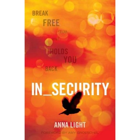 In_security: Break Free from What Holds You Back Paperback, Nxtlevel Solutions